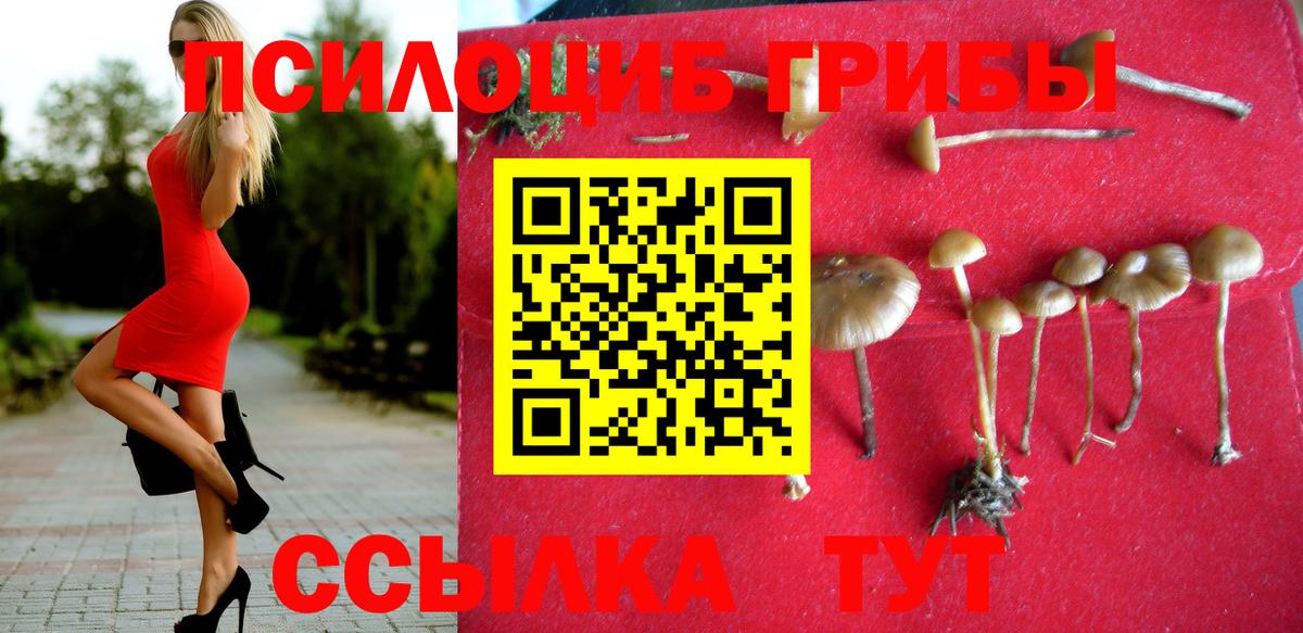 Галлюциногенные грибы прущие грибы Реж